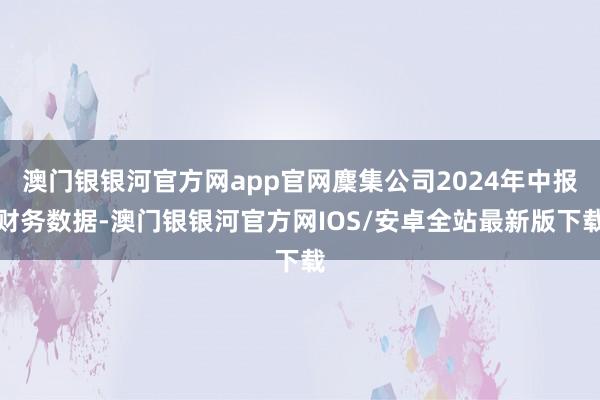 澳门银银河官方网app官网麇集公司2024年中报财务数据-澳门银银河官方网IOS/安卓全站最新版下载