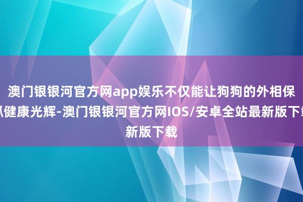 澳门银银河官方网app娱乐不仅能让狗狗的外相保抓健康光辉-澳门银银河官方网IOS/安卓全站最新版下载