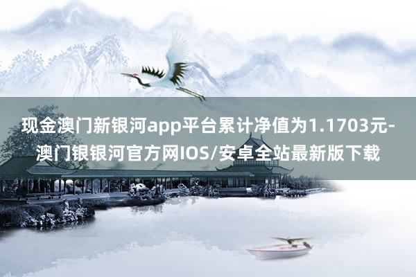 现金澳门新银河app平台累计净值为1.1703元-澳门银银河官方网IOS/安卓全站最新版下载
