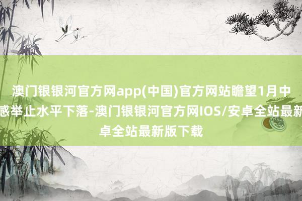 澳门银银河官方网app(中国)官方网站瞻望1月中下旬流感举止水平下落-澳门银银河官方网IOS/安卓全站最新版下载