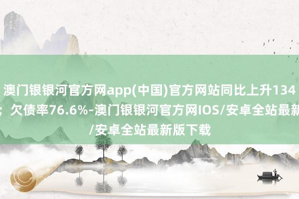 澳门银银河官方网app(中国)官方网站同比上升1342.83%；欠债率76.6%-澳门银银河官方网IOS/安卓全站最新版下载